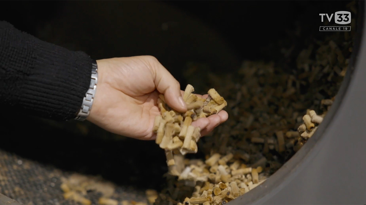 Lo sapevi che in Trentino…